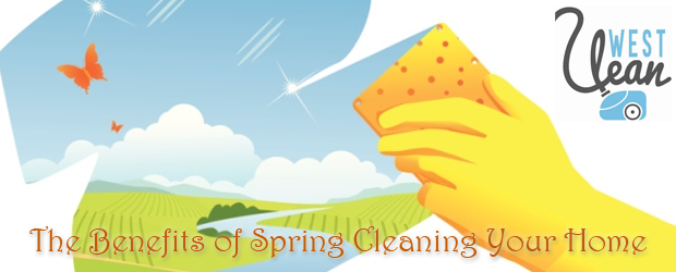 Spring Cleaning