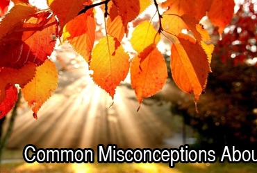 Autumn Misconceptions